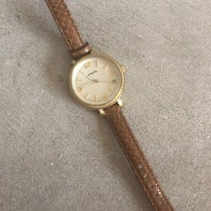 Fossil Watch